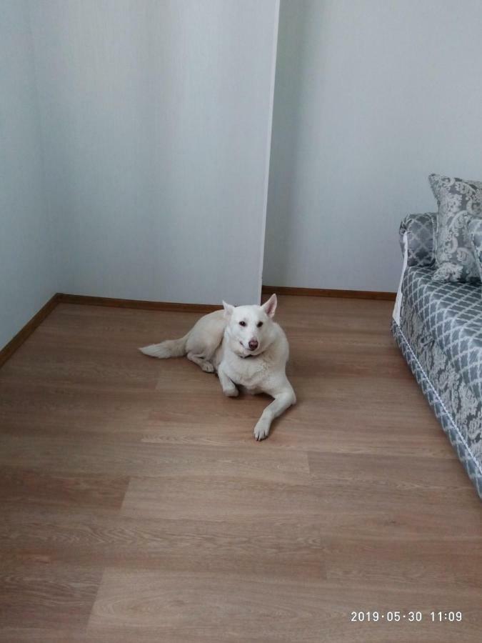 Арт-Готель "Династія" Bila Tserkva Dış mekan fotoğraf